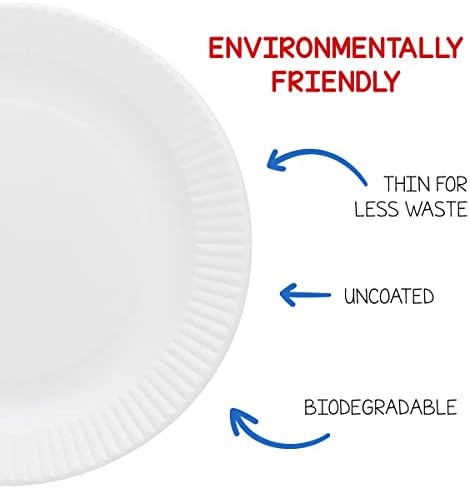 Hygloss Paper Plates 6-Inch 100 Pack