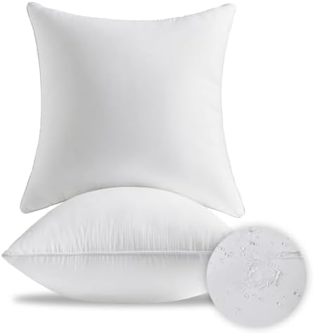 22x22 Waterproof Outdoor Pillow Inserts Set of 2