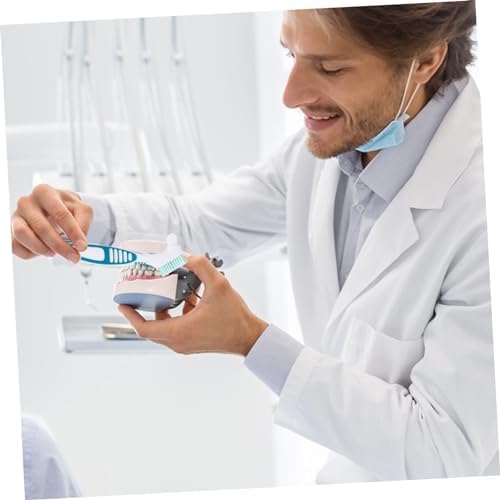 2Pcs Denture Brush Set with Ergonomic Handle and Dual-Sided Design