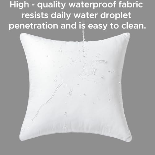 22x22 Waterproof Outdoor Pillow Inserts Set of 2