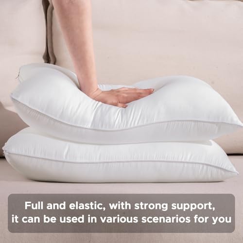 22x22 Waterproof Outdoor Pillow Inserts Set of 2