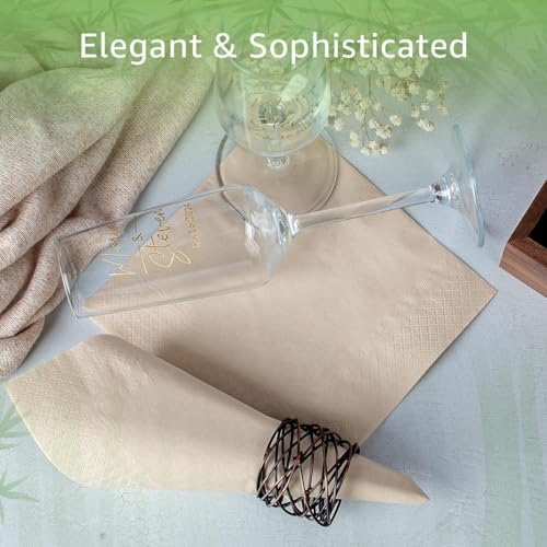 Bamboo Compostable Napkins 250-Pack 65x65 Inch 2-Ply FSC Certified