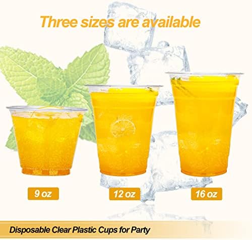TashiBox 100 Count 16 Ounce Plastic Cups