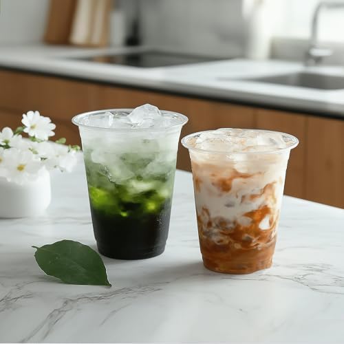 TashiBox 100 Count 16 Ounce Plastic Cups
