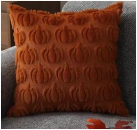 Fall Decor Pillow Covers Set of 2 18x18