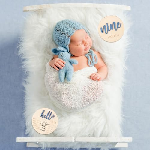 HIYZI 7 Piece Baby Milestone Wooden Signs 1-12 Months