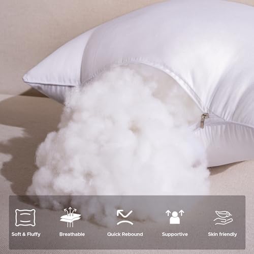 22x22 Waterproof Outdoor Pillow Inserts Set of 2