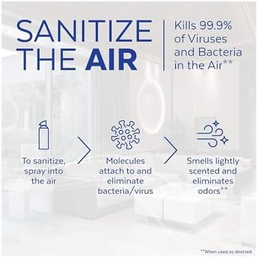 Lysol Air Sanitizer Spray 10 Oz Simple Fresh