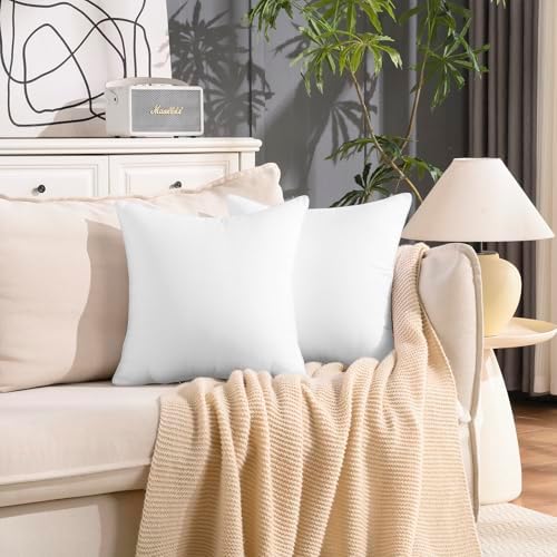 22x22 Waterproof Outdoor Pillow Inserts Set of 2