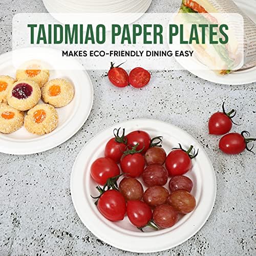 TaidMiao 100 Pack 6 Inch White Paper Plates