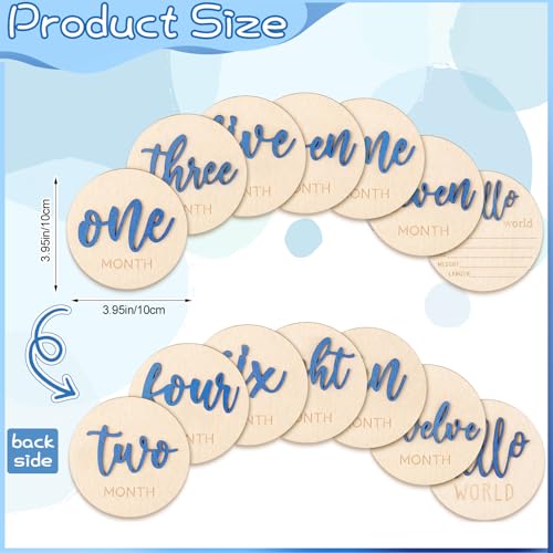 HIYZI 7 Piece Baby Milestone Wooden Signs 1-12 Months