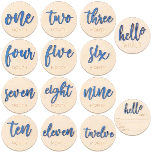 HIYZI 7 Piece Baby Milestone Wooden Signs 1-12 Months