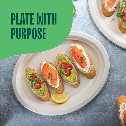 100 Compostable Paper Plates 50-Pack - BPI Certified PFAS-Free