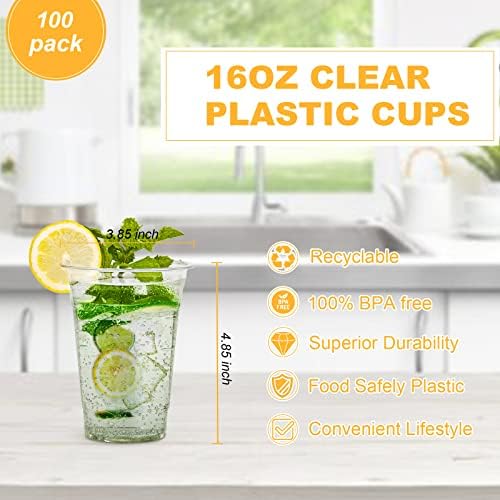 TashiBox 100 Count 16 Ounce Plastic Cups