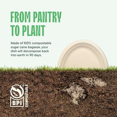 100 Compostable Paper Plates 50-Pack - BPI Certified PFAS-Free