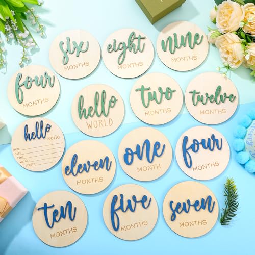 HIYZI 7 Piece Baby Milestone Wooden Signs 1-12 Months