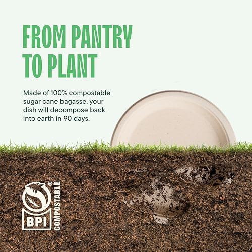 100 Compostable Paper Plates 9 Inch 125-Pack