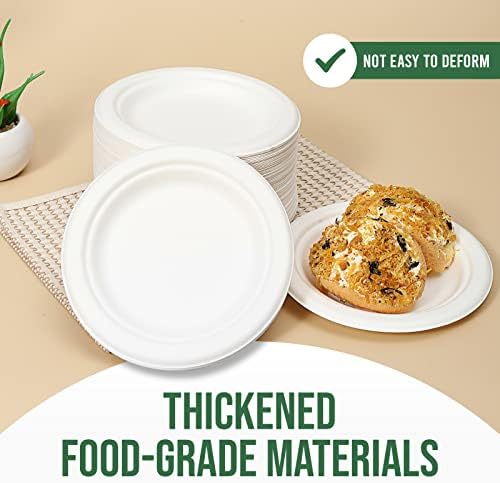TaidMiao 100 Pack 6 Inch White Paper Plates