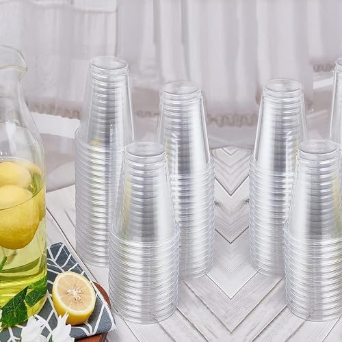 TashiBox 100 Count 16 Ounce Plastic Cups