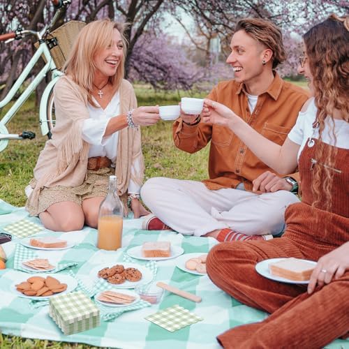 120 Pcs Green Gingham Napkins for Picnic Wedding and Baby Shower