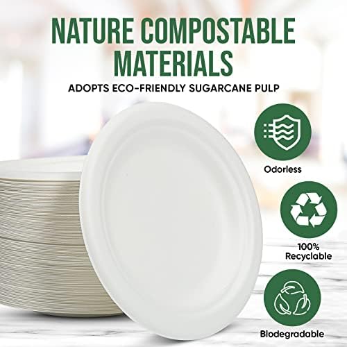 TaidMiao 100 Pack 6 Inch White Paper Plates
