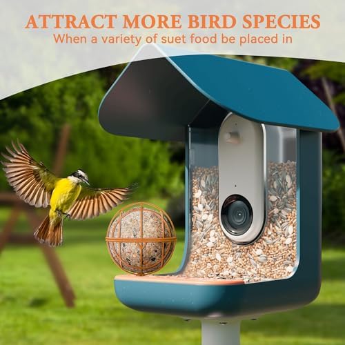 ZIRKOZIR Metal Suet Ball Holder for Bird Buddy