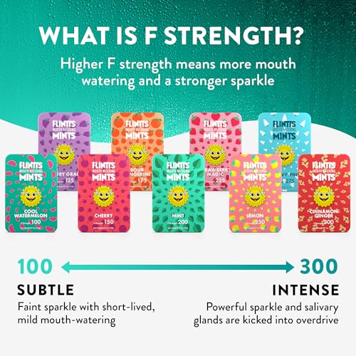 Flintts Mints 2x After Party Pack - Sugar Free Vegan