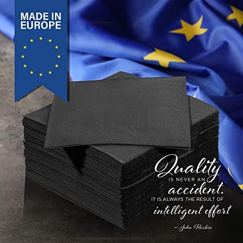 Black Disposable Napkins 2 Ply 300 Count