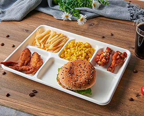 Vplus 100 Compostable 5 Compartment Plates 100 Pack