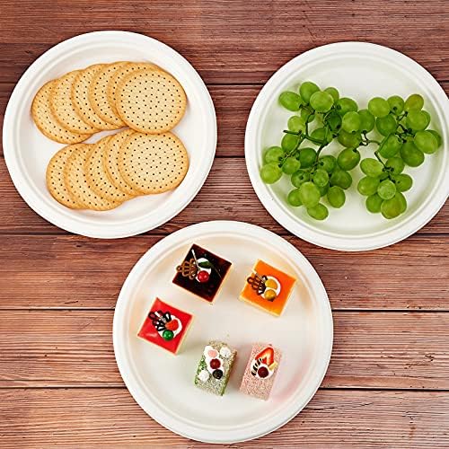Vplus 150 Pack Compostable Paper Plates 1025 Inch Eco-Friendly