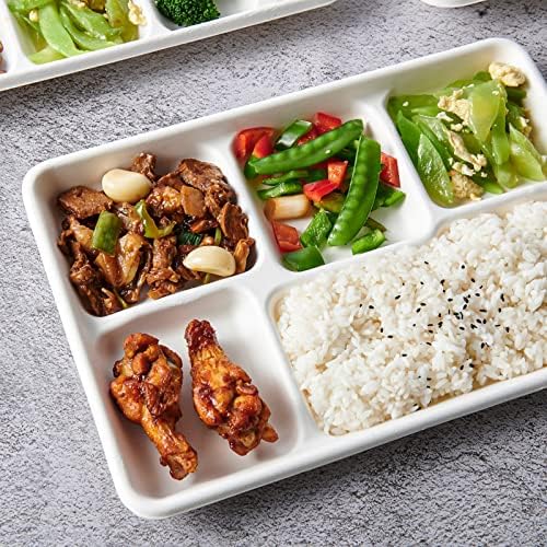 Vplus 100 Compostable 5 Compartment Plates 100 Pack