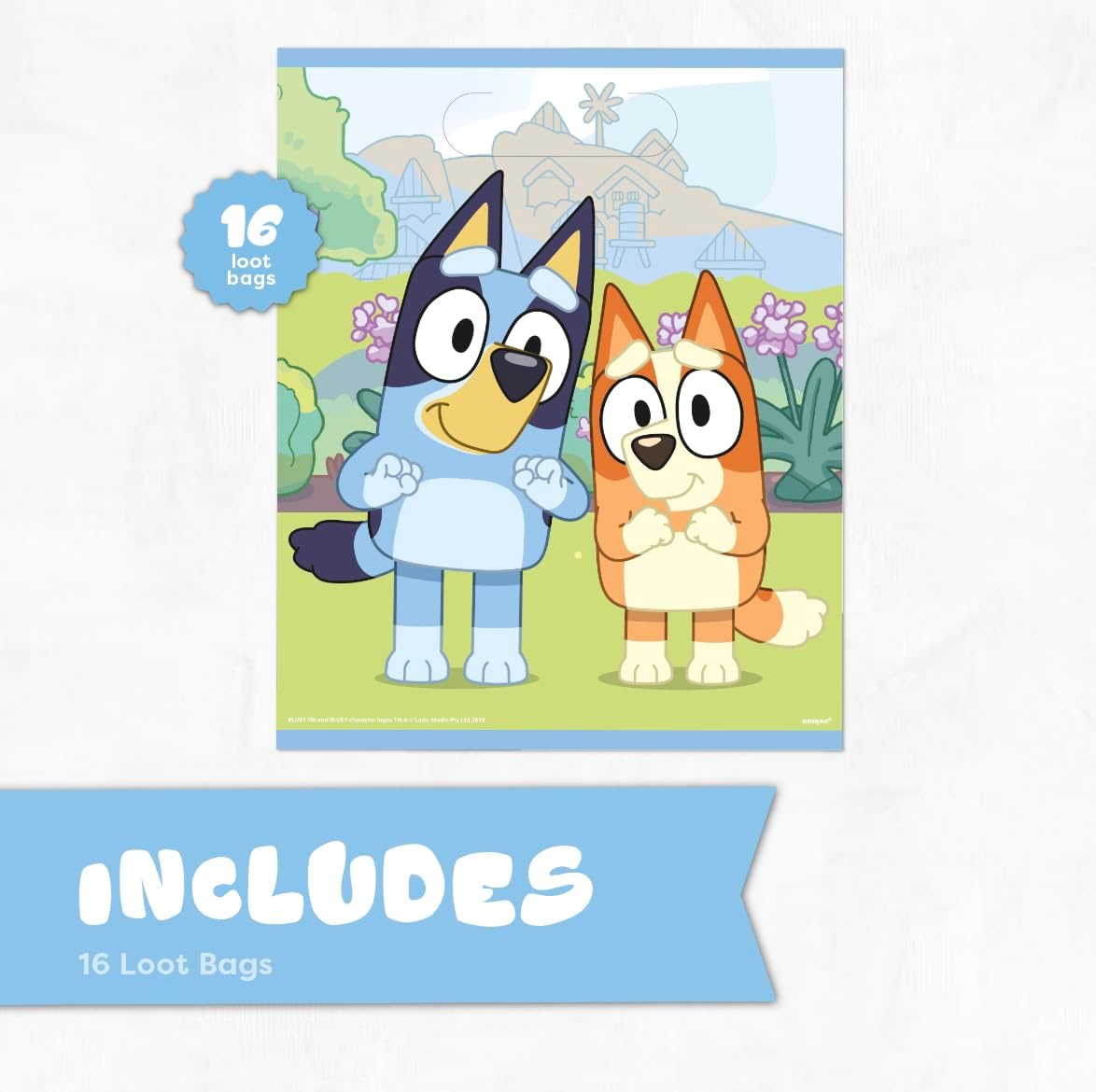 Unique Bluey Goodie Bags for Party Favors 16 Pack