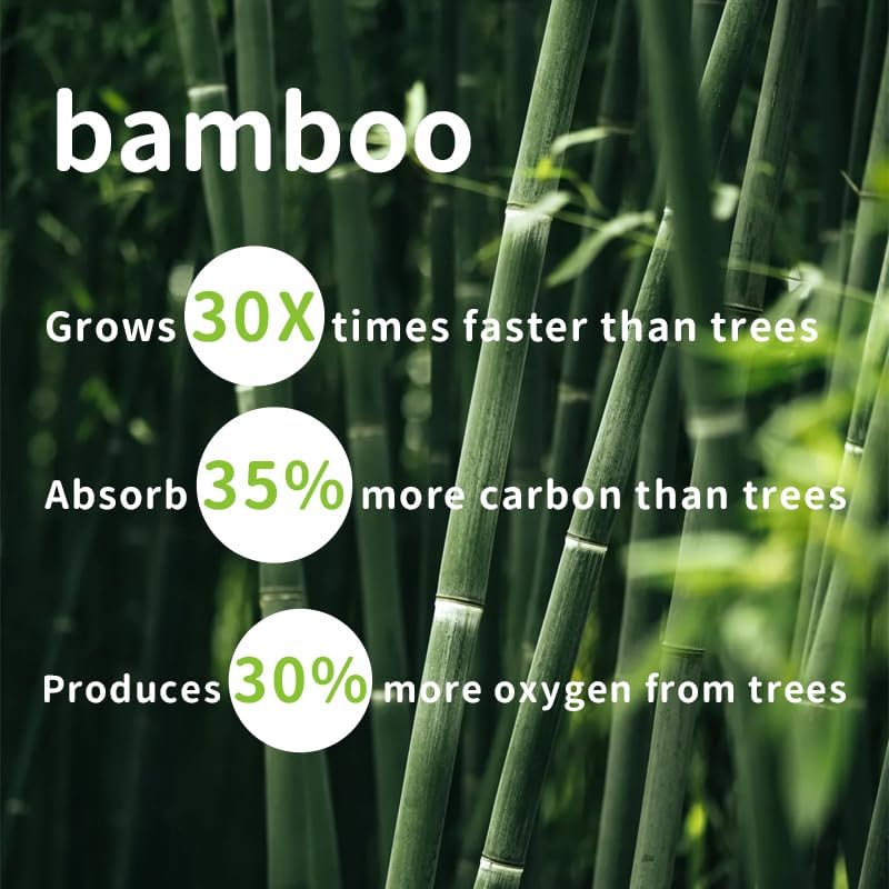 Lam Pure 80-Sheet Bamboo Facial Tissues Box