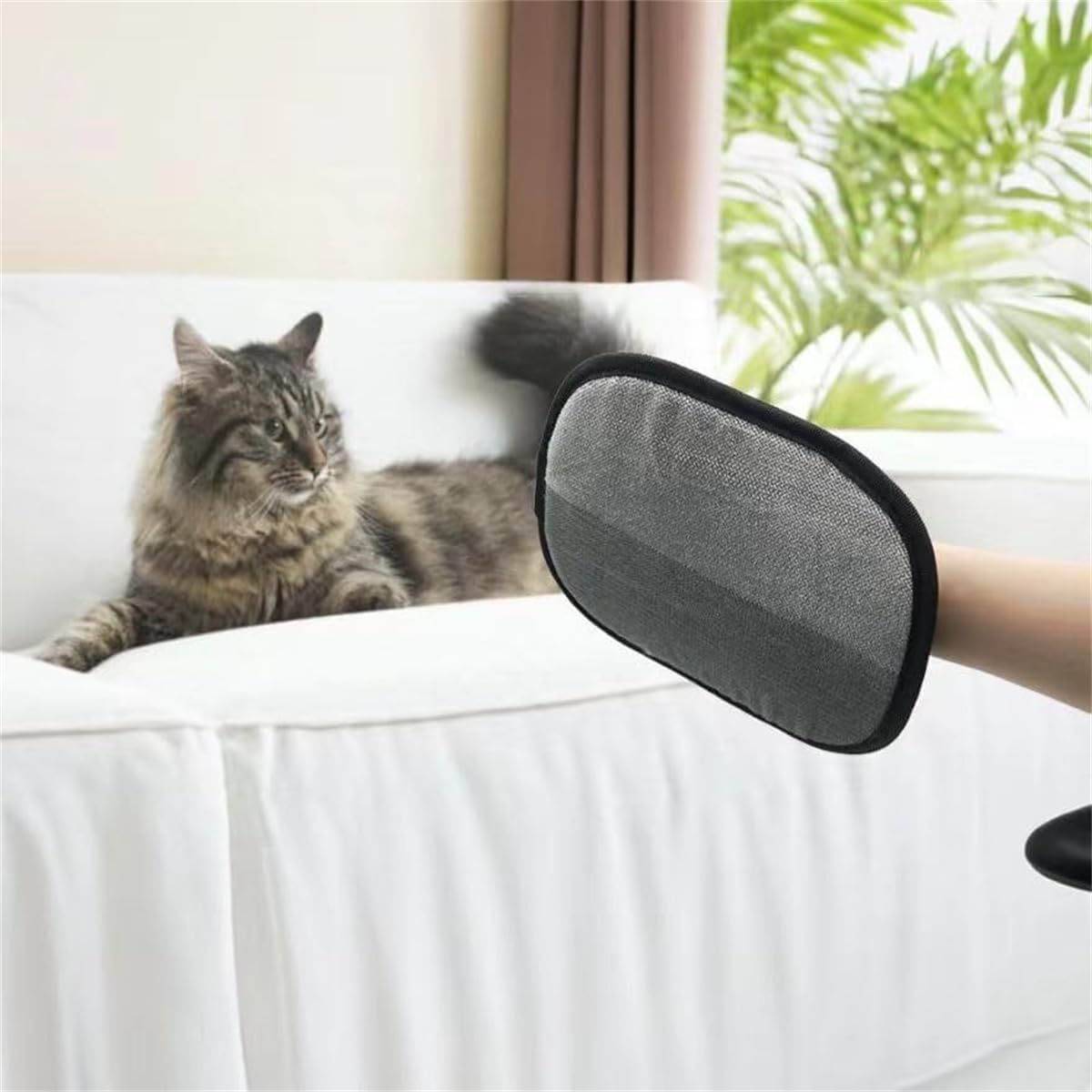 Double-Sided Pet Grooming Gloves for Dogs and Cats 1