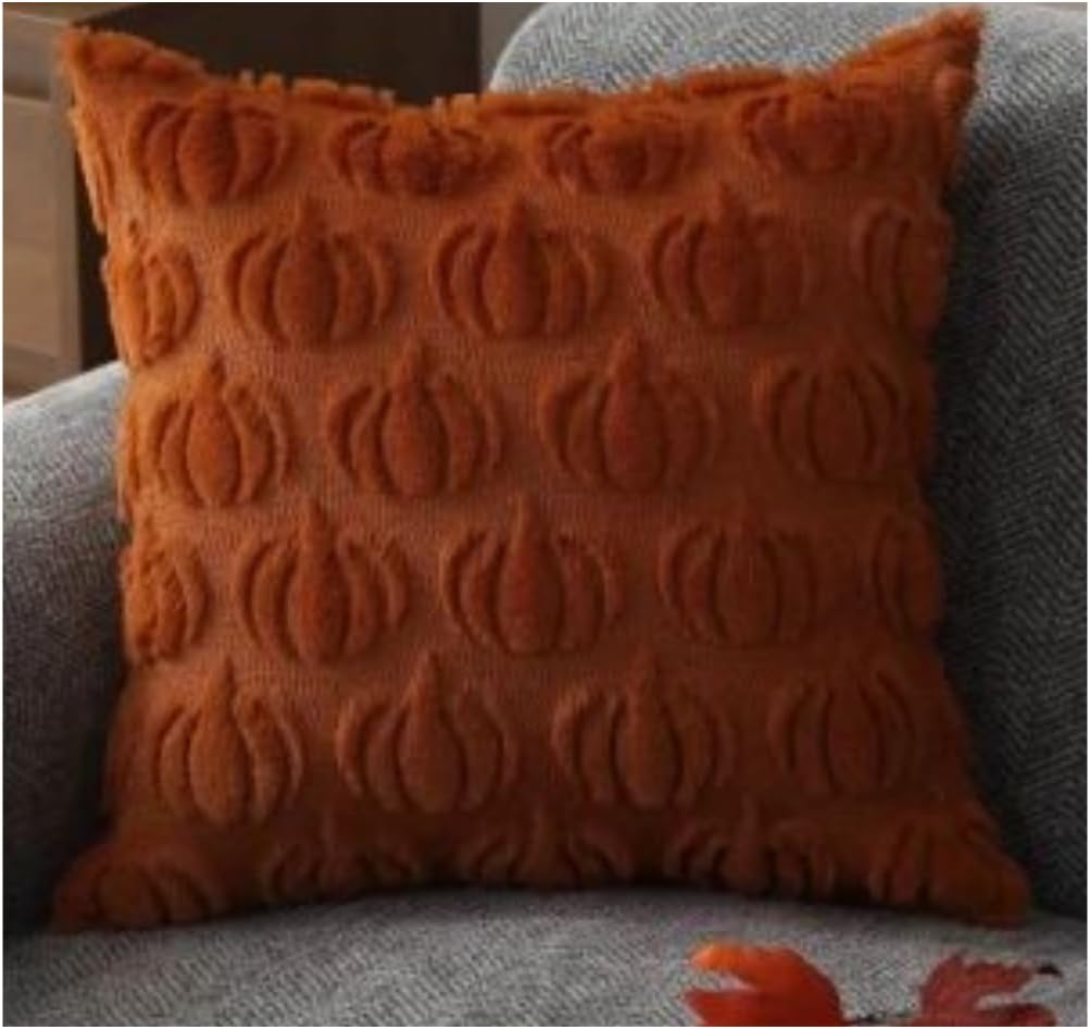 Fall Decor Pillow Covers Set of 2 18x18