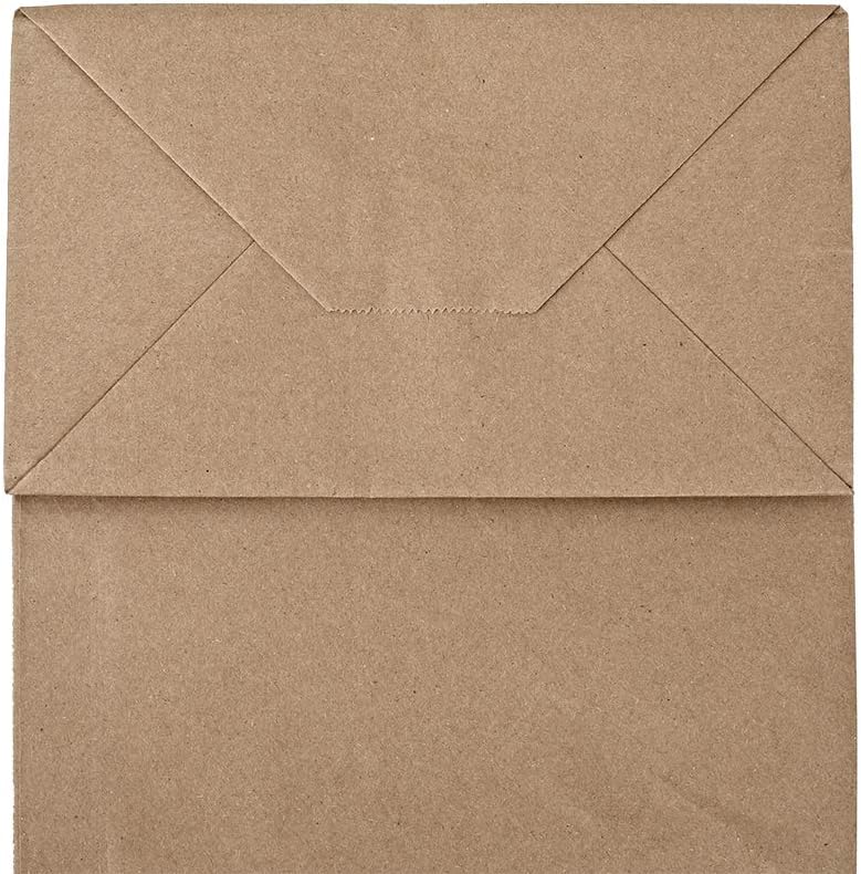 Bagmad 100 Pack 8x475x10 Inch Plain Kraft Paper Bags with Handles
