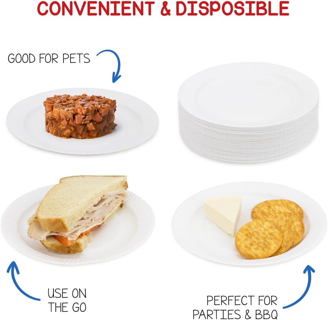 Hygloss Paper Plates 6-Inch 100 Pack