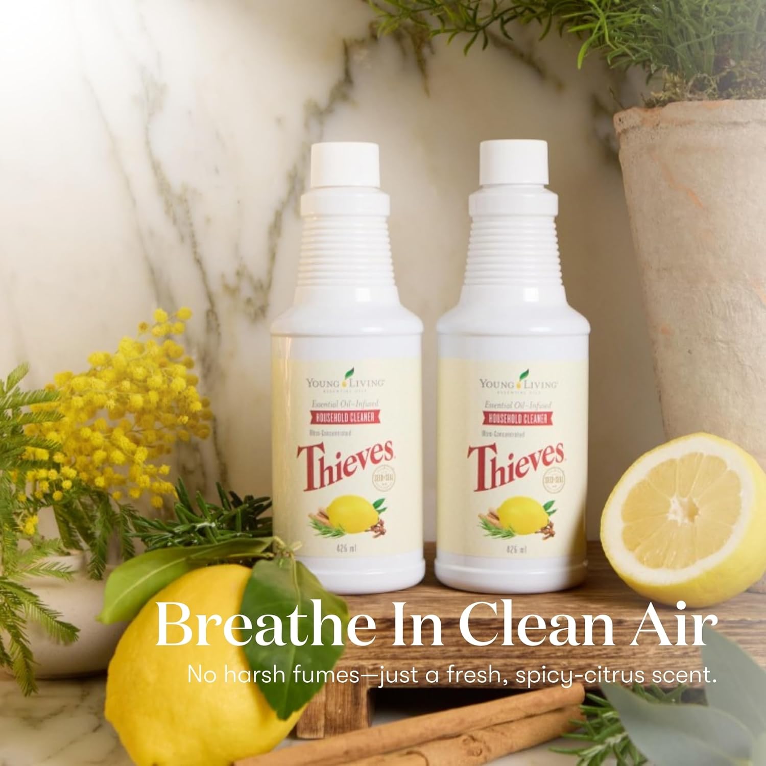 Thieves Household Cleaner 144 Oz Plant Based Multi Surface Solution