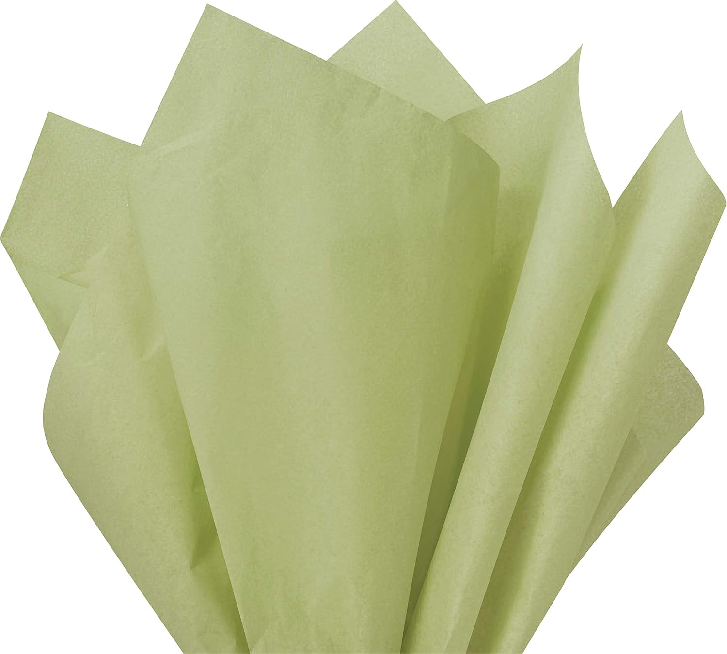 Flexicore Packaging Willow Green Gift Wrap Tissue Paper 15x20