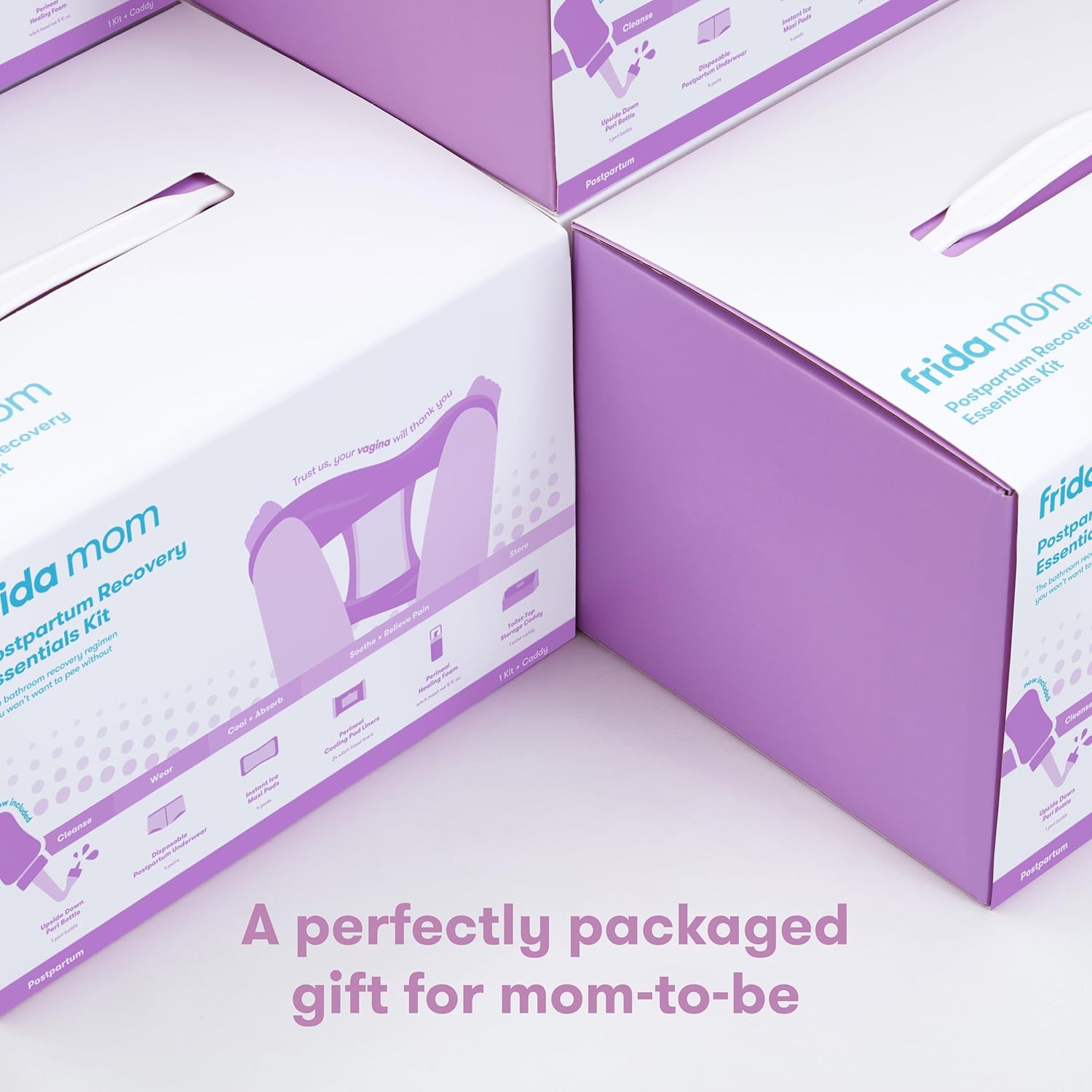 Frida Mom 11pc Postpartum Essentials Kit