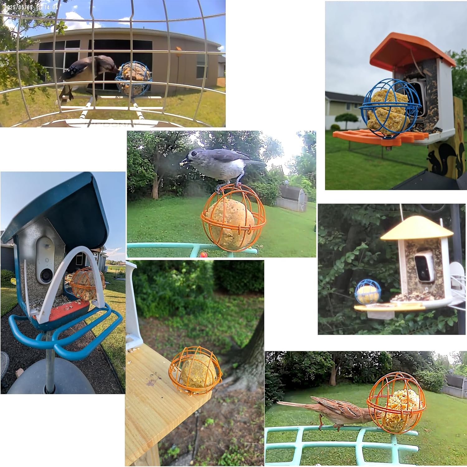 ZIRKOZIR Metal Suet Ball Holder for Bird Buddy