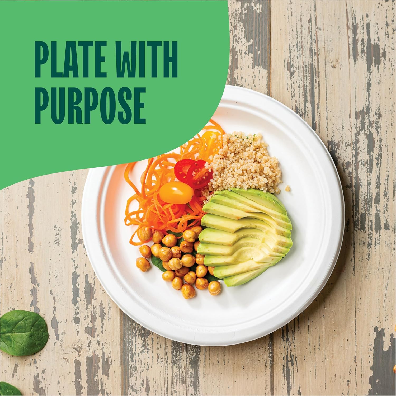 Stack Man 100 Compostable 9 Inch Paper Plates 125-Pack