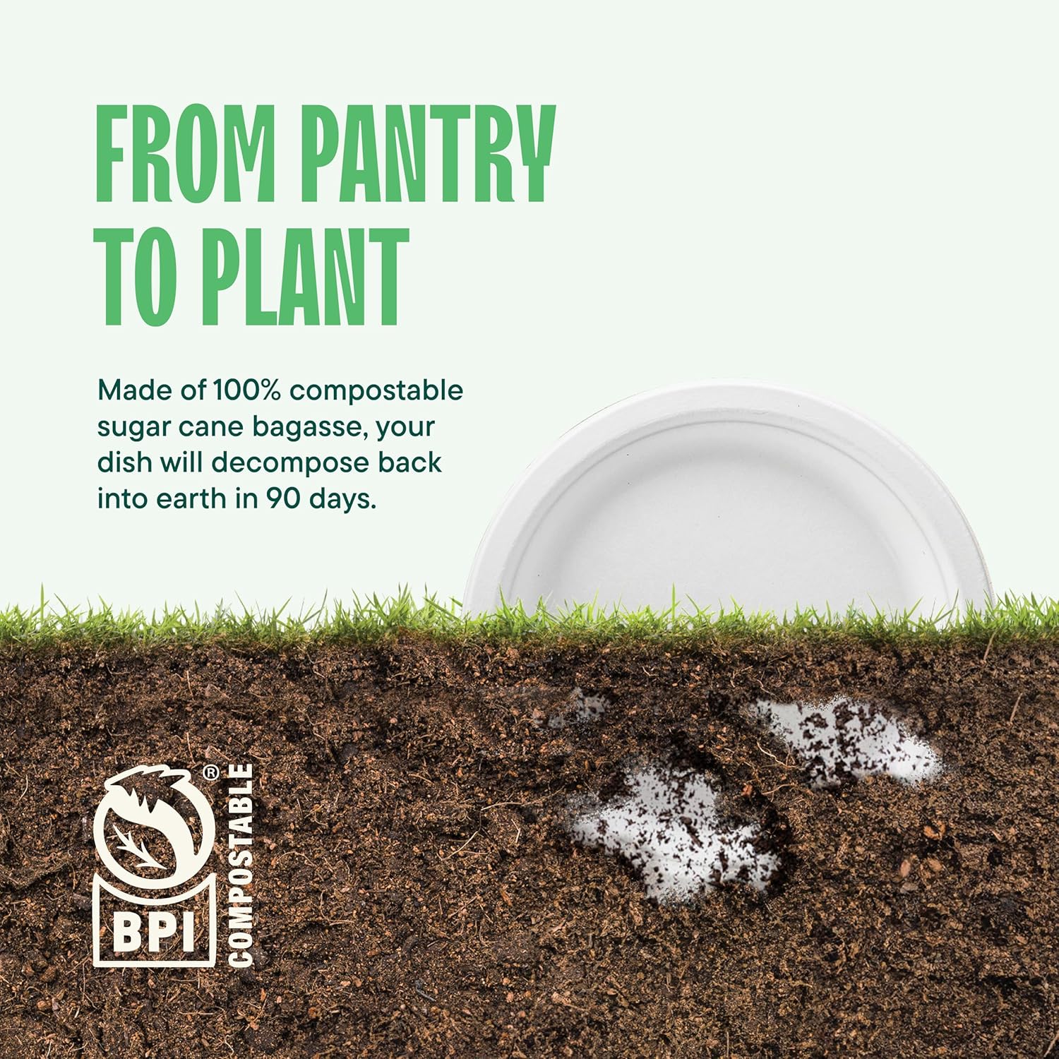 Stack Man 100 Compostable 9 Inch Paper Plates 125-Pack