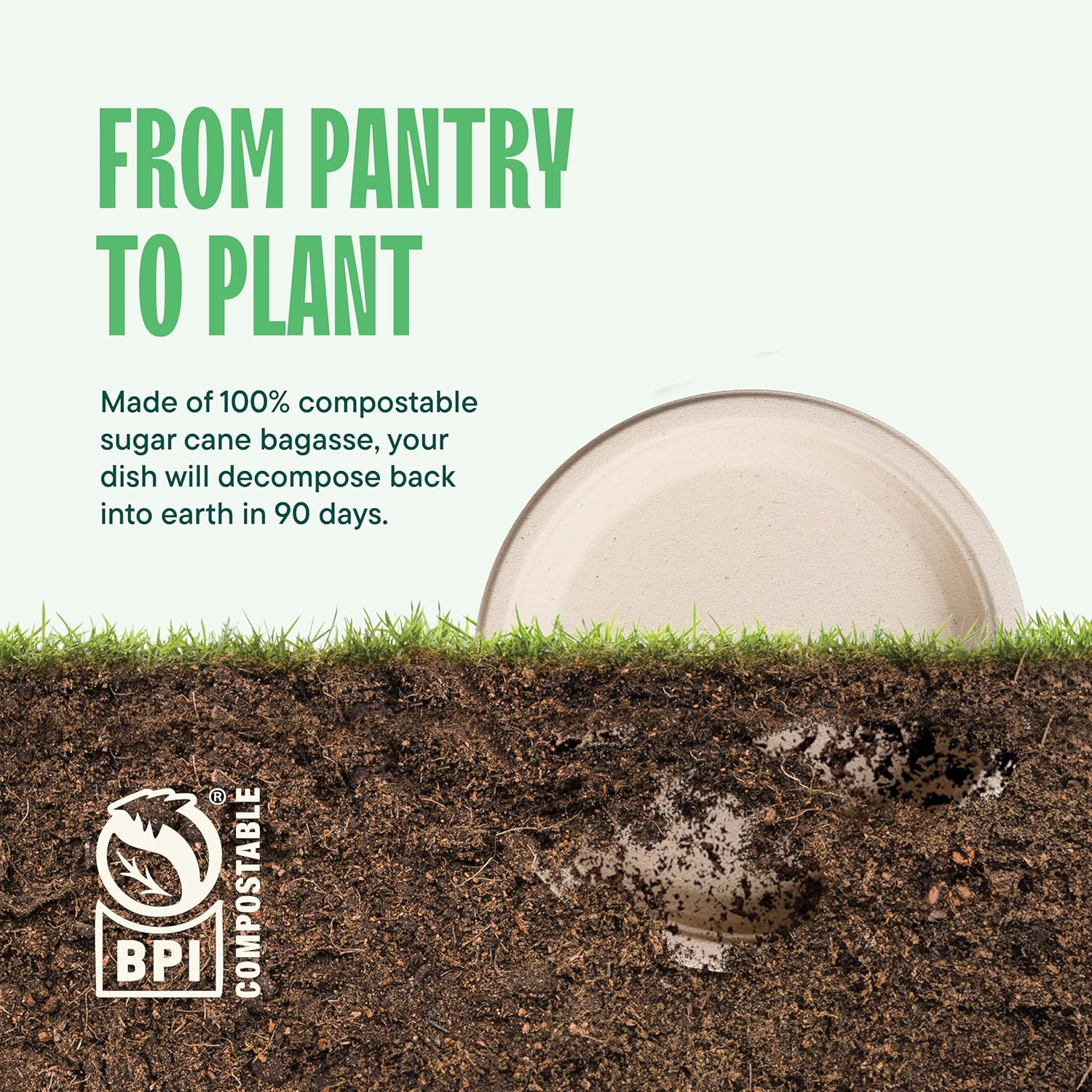 100 Compostable Paper Plates 9 Inch 125-Pack