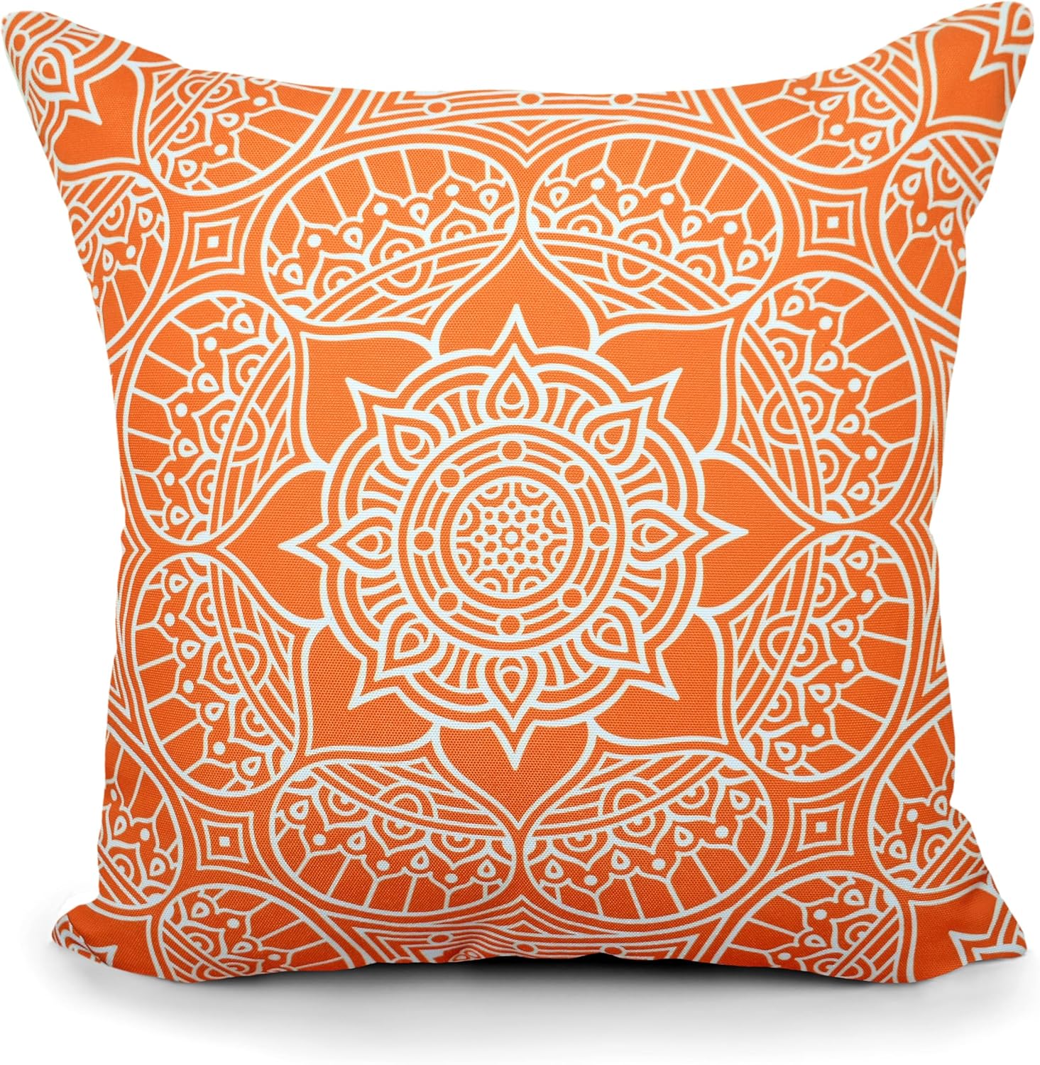 COZY TRENDS Decorative Waterproof Throw Pillows Set of 2