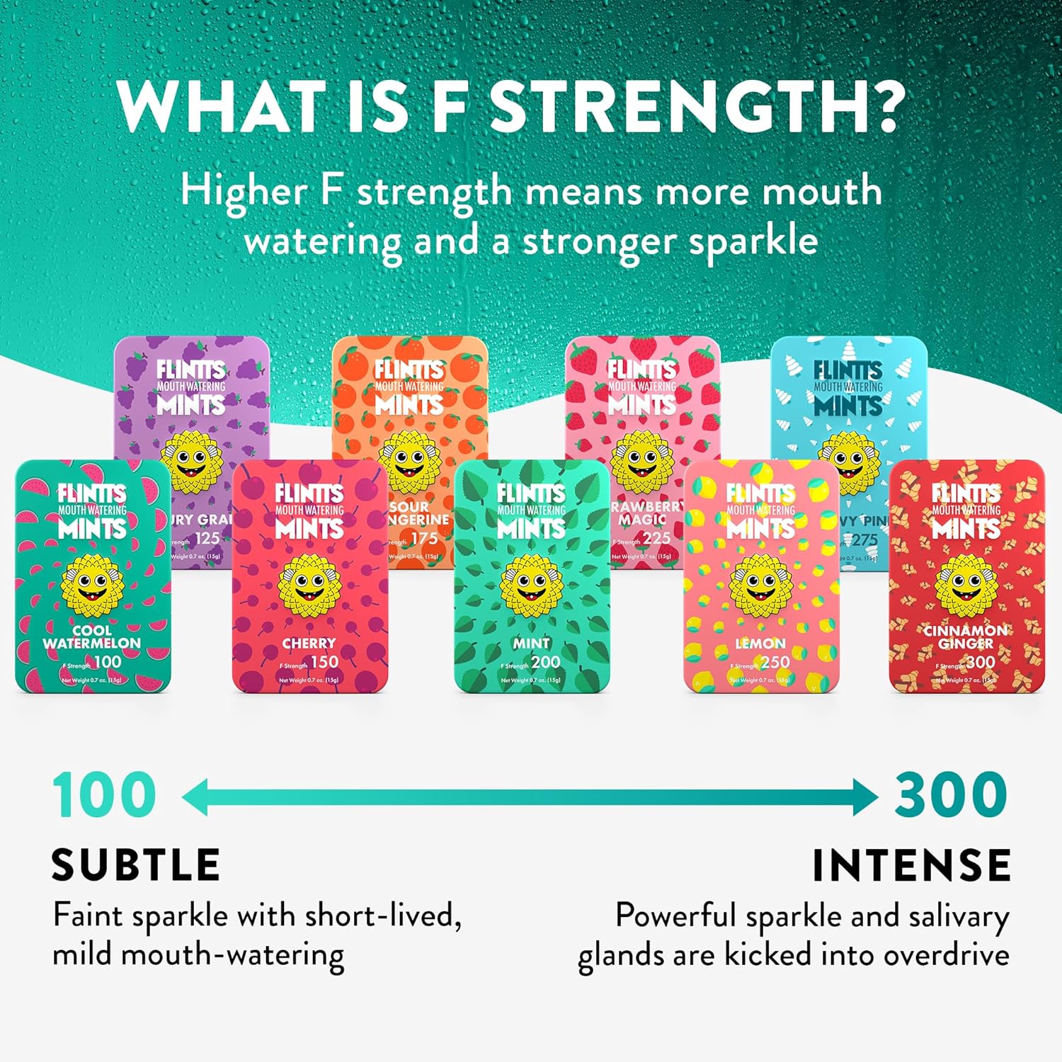 Flintts Mints 2x After Party Pack - Sugar Free Vegan