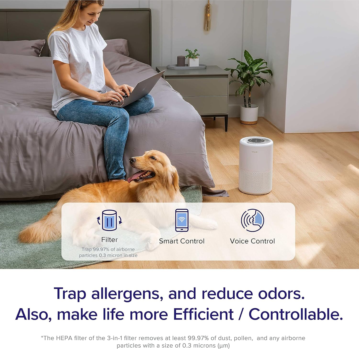 LEVOIT Air Purifier with Essential Oil Diffuser and Alexa Control